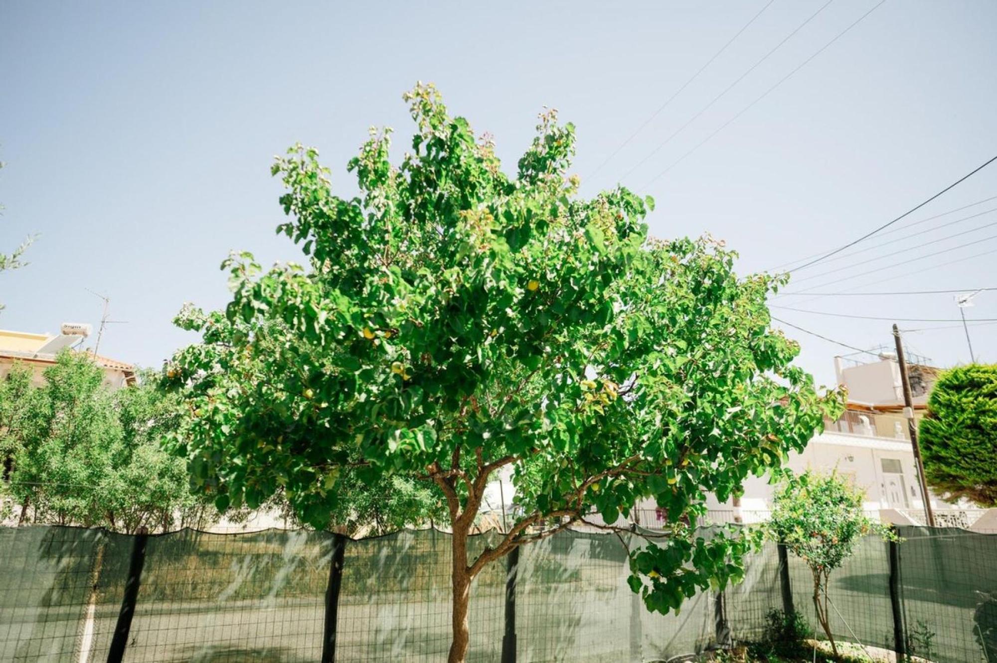 Sylvi Maisonette Volos Melissatika المظهر الخارجي الصورة